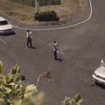 Video: Υπέροχη διαφήμιση από τη Νέα Ζηλανδία που δείχνει γιατί δεν πρέπει να τρέχουμε σε δημόσιους δρόμους 