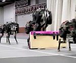 Δείτε ένα απίστευτο ρομπότ-τσιτάχ [video]  