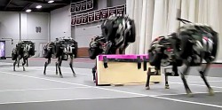 Δείτε ένα απίστευτο ρομπότ-τσιτάχ [video] 